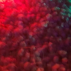 Meet your Posher, Lillie